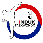 Induk Taekwondo